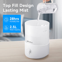 Load image into Gallery viewer, Stelive Humidifiers for Bedroom 30m2 Room, 2.5L Cool Mist Humidifier with Essential Oil Diffuser, Top Fill Humidifier for Baby, Home, Plant