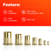 Load image into Gallery viewer, TOPEX 150 PCS Rivet Nut Bolt Steel Rivets Tool Flange Blind Nutserts Flat Zinc M3-M12