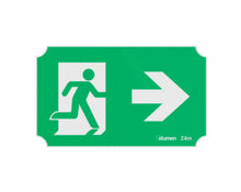 Load image into Gallery viewer, Right Arrow Whale Pictogram 24m