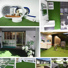 Load image into Gallery viewer, Artificial Turf Pet Grass Mat Replacement for Puppy Potty Trainer